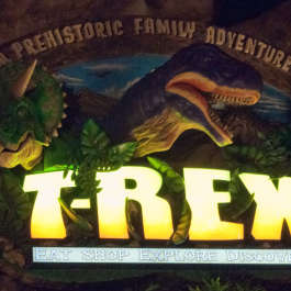 Dark T-Rex Detail