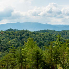 Great Smoky Mountains from the parkway