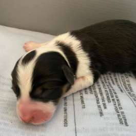 May 20 - 1 day old