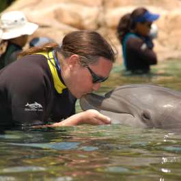 Saturday - Discovery Cove Dolphin Encounter
